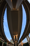 城市