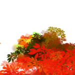 秋天素材