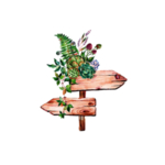 春天植物边框