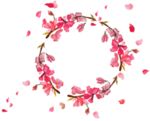 桃花边框