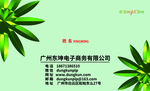 绿色名片