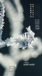 24二十四节气小雪海报背景下雪