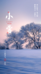 24二十四节气小雪海报背景下雪