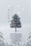24二十四节气小雪海报背景下雪