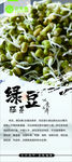 绿豆胚芽