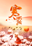 寒露节气
