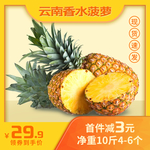 香水 菠萝 凤梨 主图