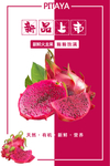 火龙果海报