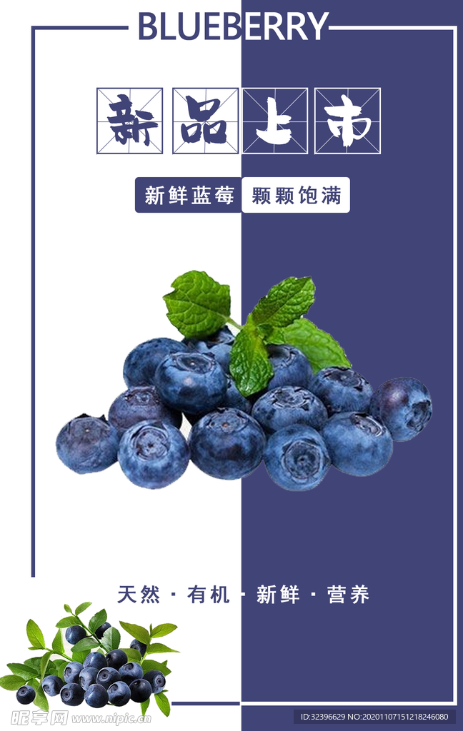 蓝莓海报