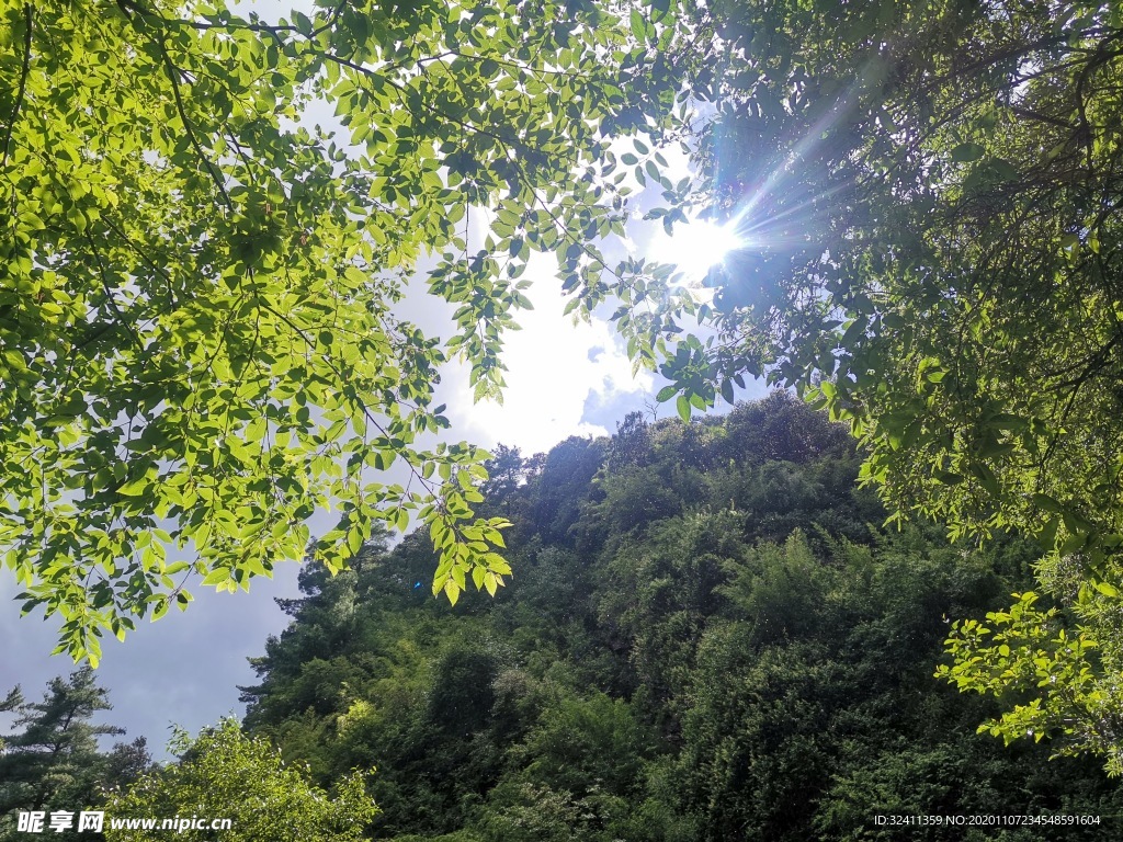 苍山