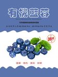 蓝莓海报