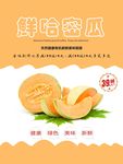 哈密瓜海报