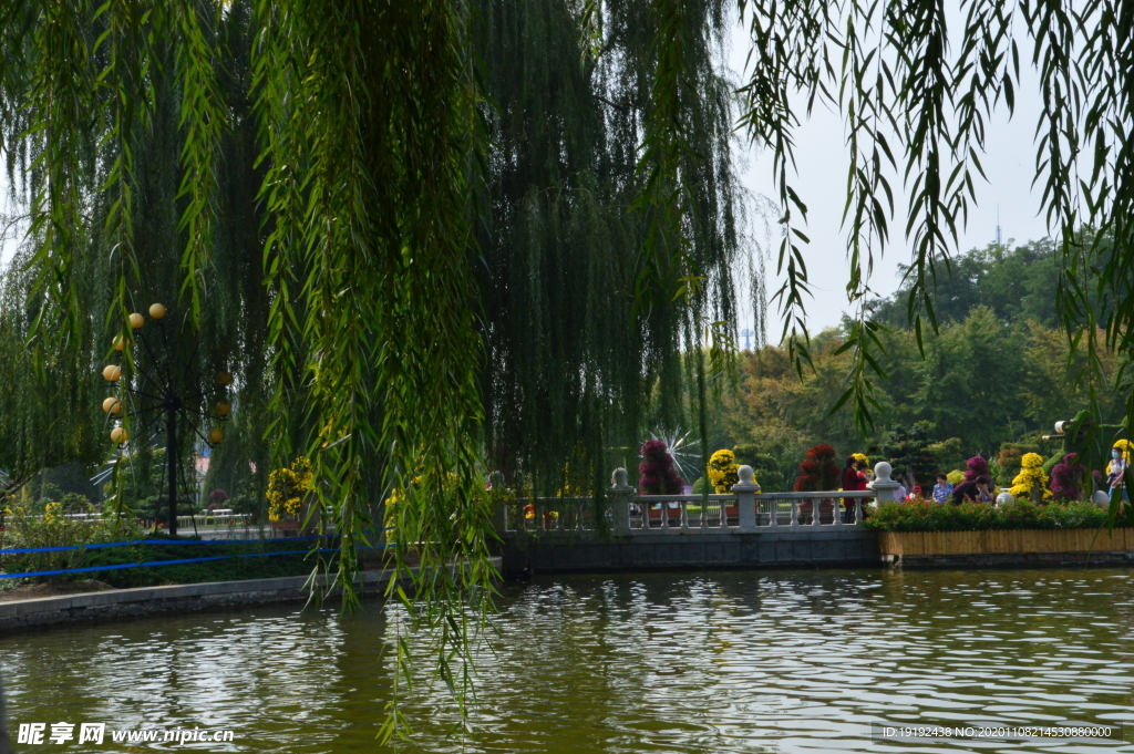 园林风景