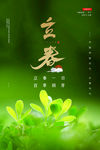 立春