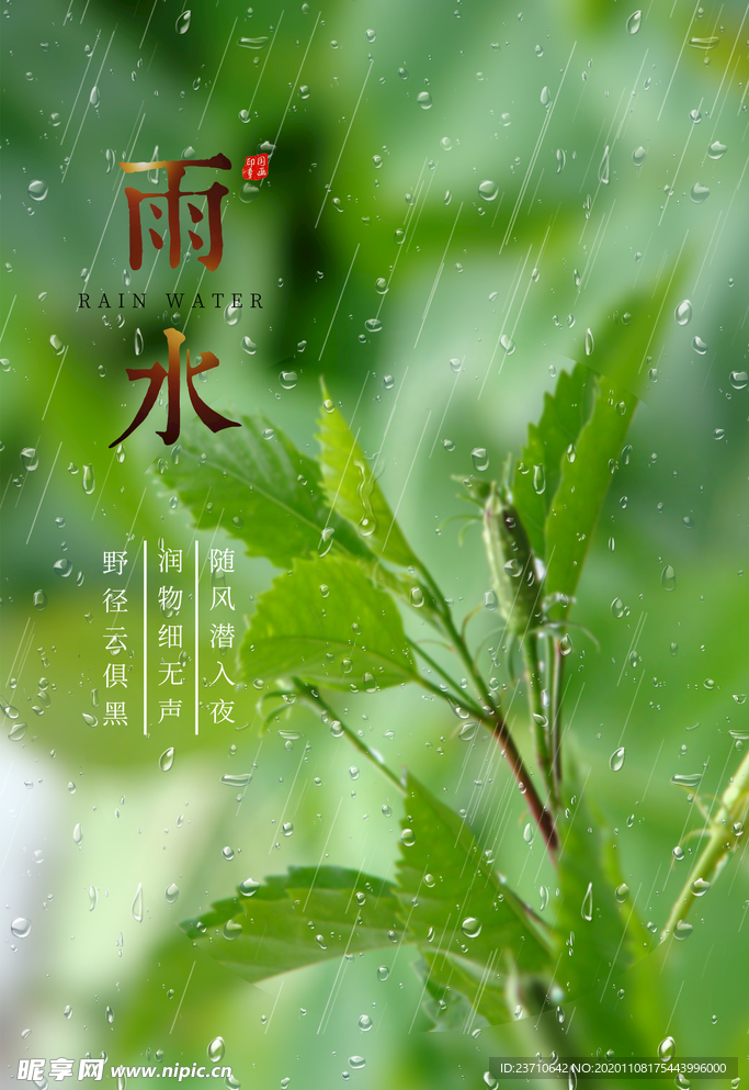 雨水