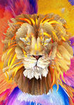 狮子3d插画