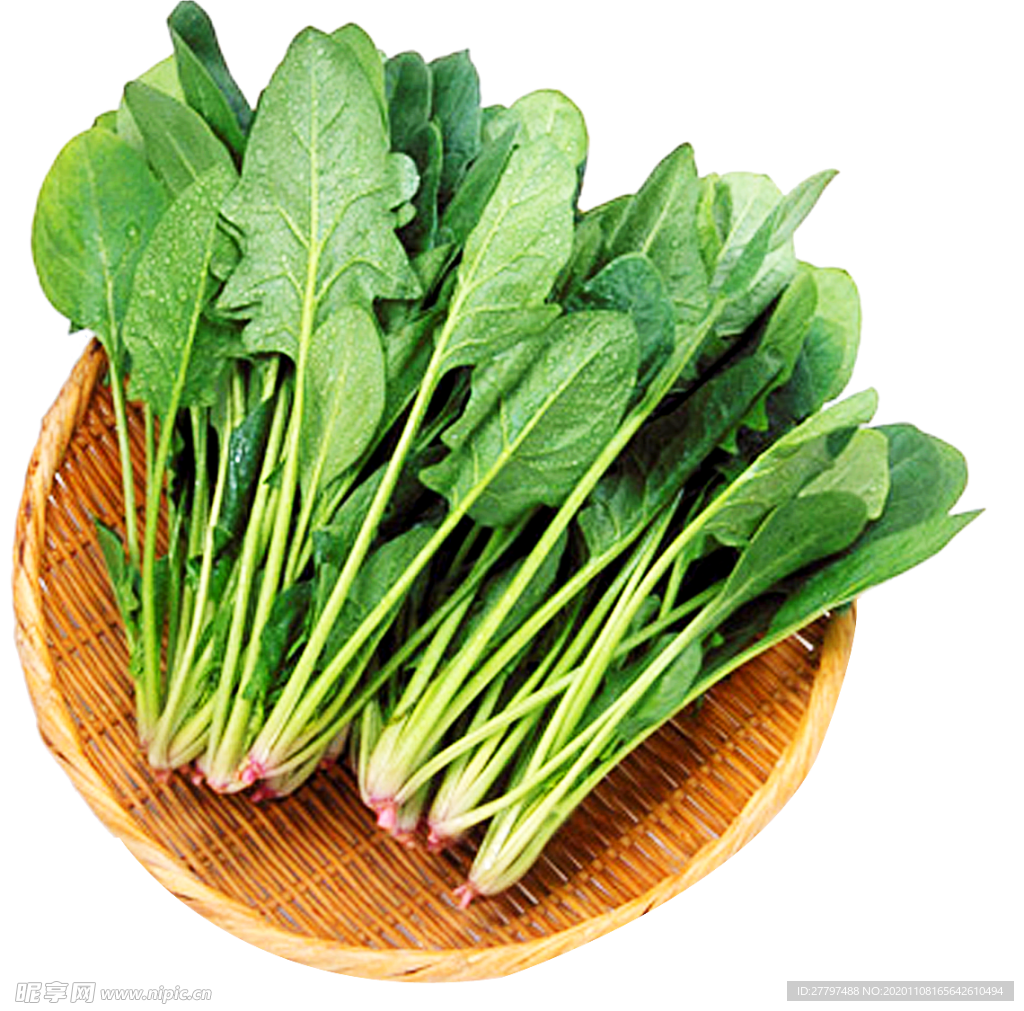 新鲜菠菜