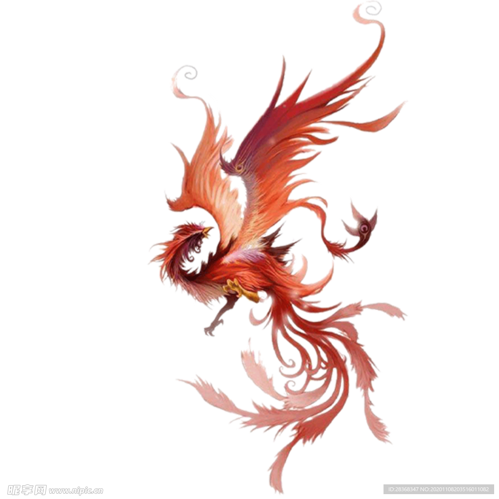 国潮凤凰插画