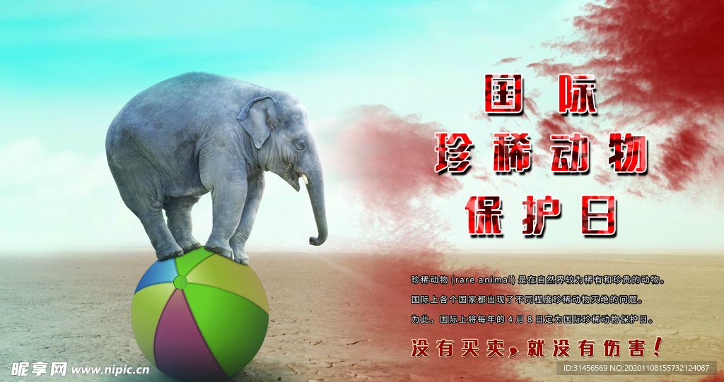 国际稀有动物保护日