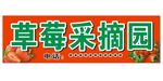 草莓采摘园