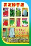 种子彩页背面