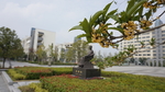 校园环境