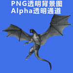 龙