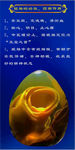 琥珀的功效药用作用