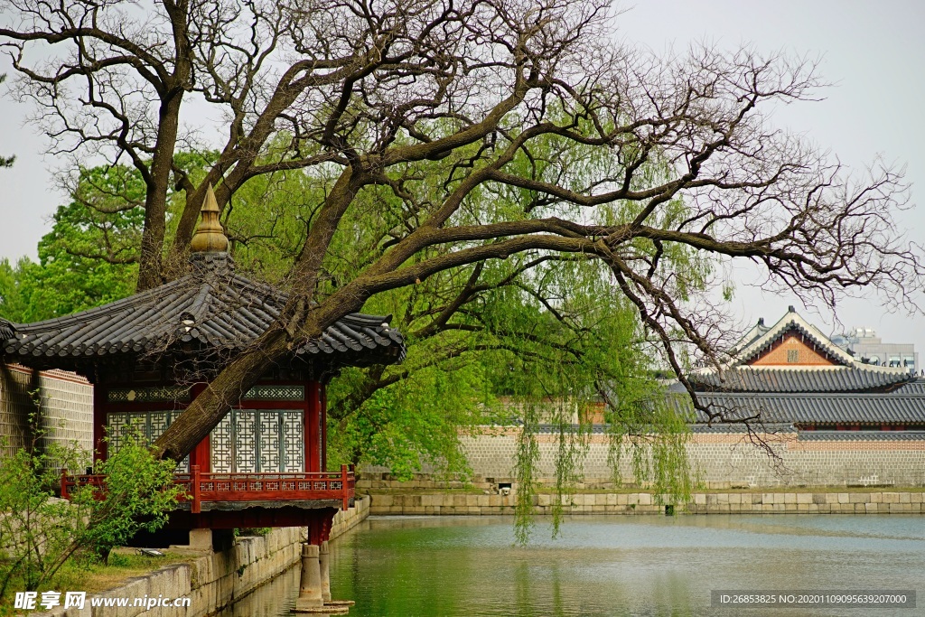 韩国首尔 景福宫建筑 韩国风景