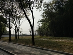 街景