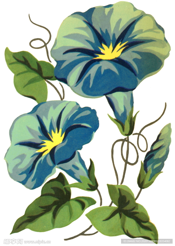 花朵花紋