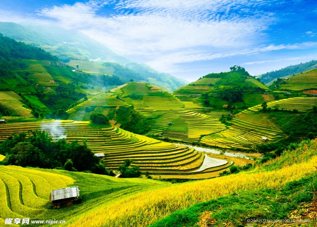 茶园