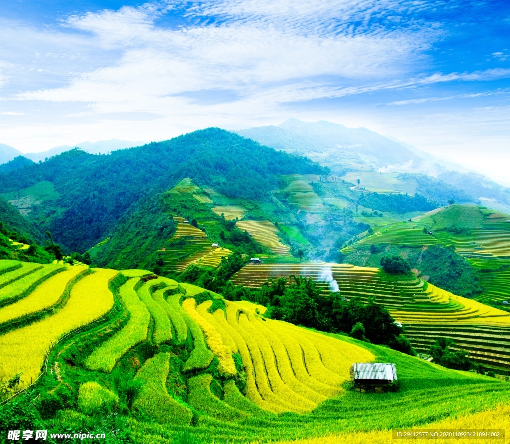 茶园