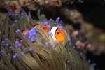 海底世界