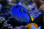 海底世界