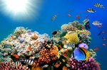 海底世界