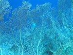 海底世界