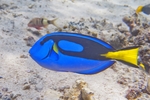 海底世界