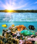 海底世界