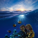 海底世界