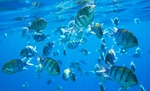 海底世界