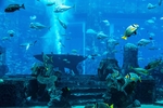 海底世界