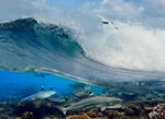 海浪