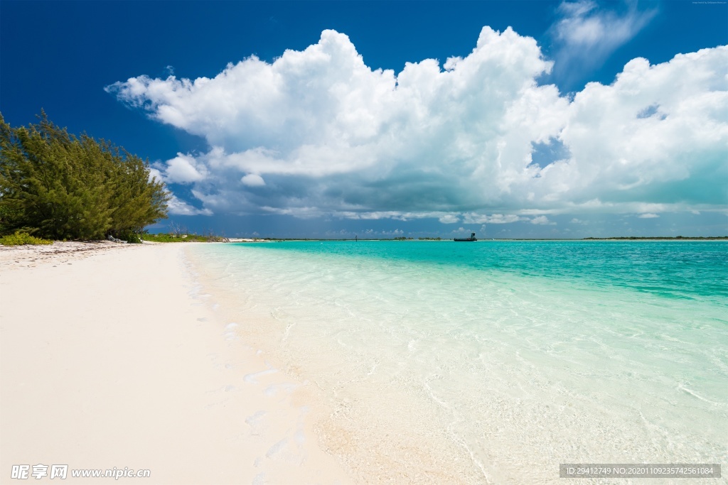 海滩棕榈椰树风景