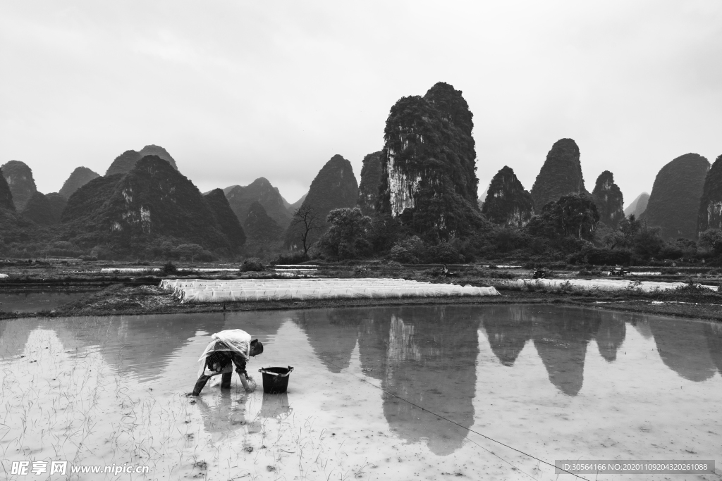插秧山水黑白简约背景海报素材