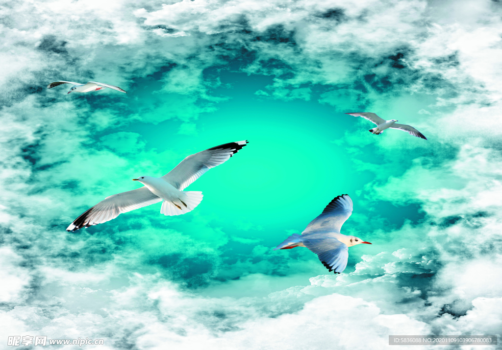 天空白云中飞翔的海鸥装饰画