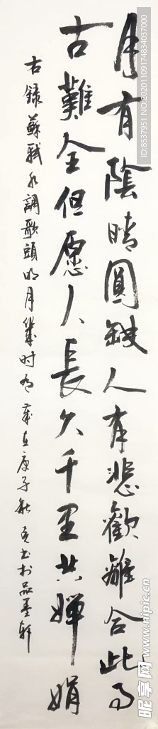 杨克东 书法 月有阴晴圆缺