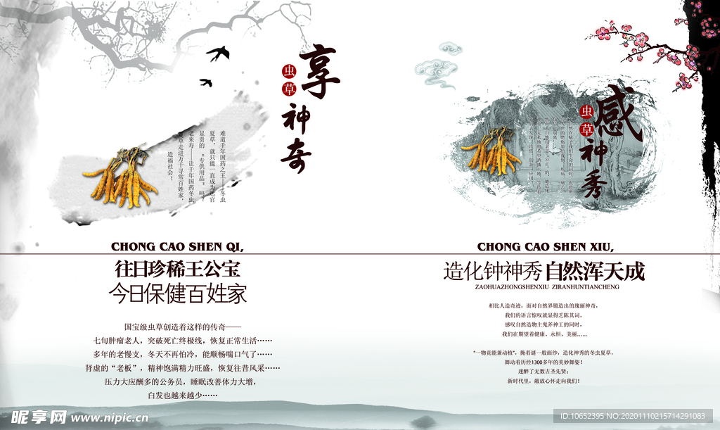 冬虫夏草画册封面