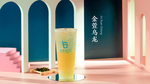 金萱乌龙茶 清茶