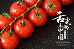 舌尖上的中国